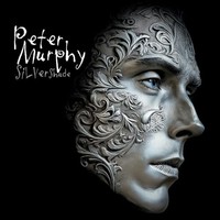 Peter Murphy - Silver Shade 2LP - Vinyl Record Dlp - G72Z