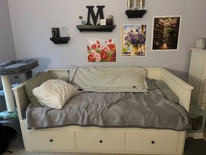 Hemnes Daybed | eBay