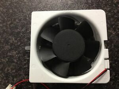 Picture 1