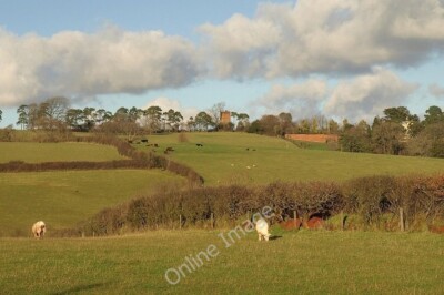 Photo 6x4 View near Burston Burston/SS7102 A view from Burrow Lane acros c2011