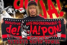 NJPW Tetsuya Naito De Japon Sports Towel 40cm x 110cm New Unopened
