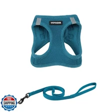 Voyager Step-in Air Cat Leash Harness Set - All Weather Mesh, Step in Vest Ha