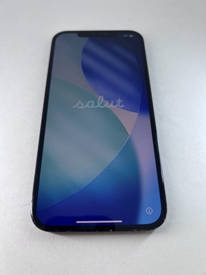 Apple iPhone 12 Pro Max - 128 GB - Pacific Blue (Unlocked) *READ DESCRIPTION*