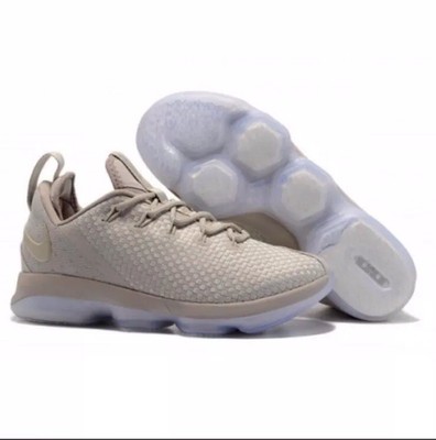 lebron james xiv low