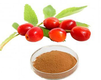 Rosehip Extract Powder Anti-Inflammatory For Joint Health & Immune Support