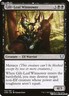 Gilt-Leaf Winnower [CMR - 130]