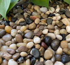 Decorative Polished Pebbles for Garden, Succulents, and Landscaping 10 lbs