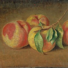 Dipinto Olio su Tavoletta Natura Morta Frutta  cm. 35  x 17