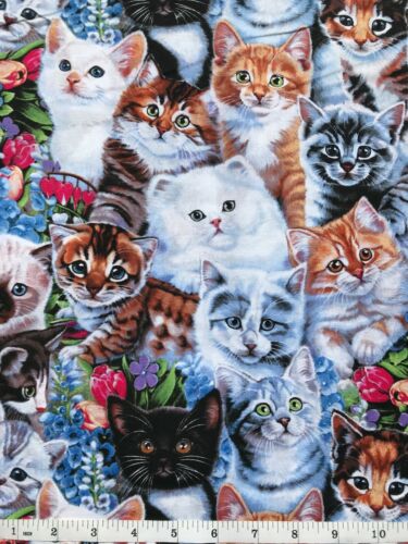 Kitty Portraits - Kittens and Cats Animal Print - Quilt Fabric - Fat Quarter - Picture 3 of 3