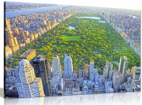 Quadro Stampa su Tela Wall Art New York Central Park - Foto 1 di 5