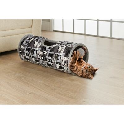 grey cat tunnel