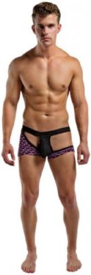 Clever Moda Mens Swim Brief Multiple styles and colors.