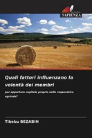 Tibebu Bezabih | Quali Fattori Influenzano La Volontà Dei Membri | Taschenbuch