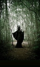 Maleficent Evil Queen Costume Cloak Gown Cosplay Handmade Custom like Disney