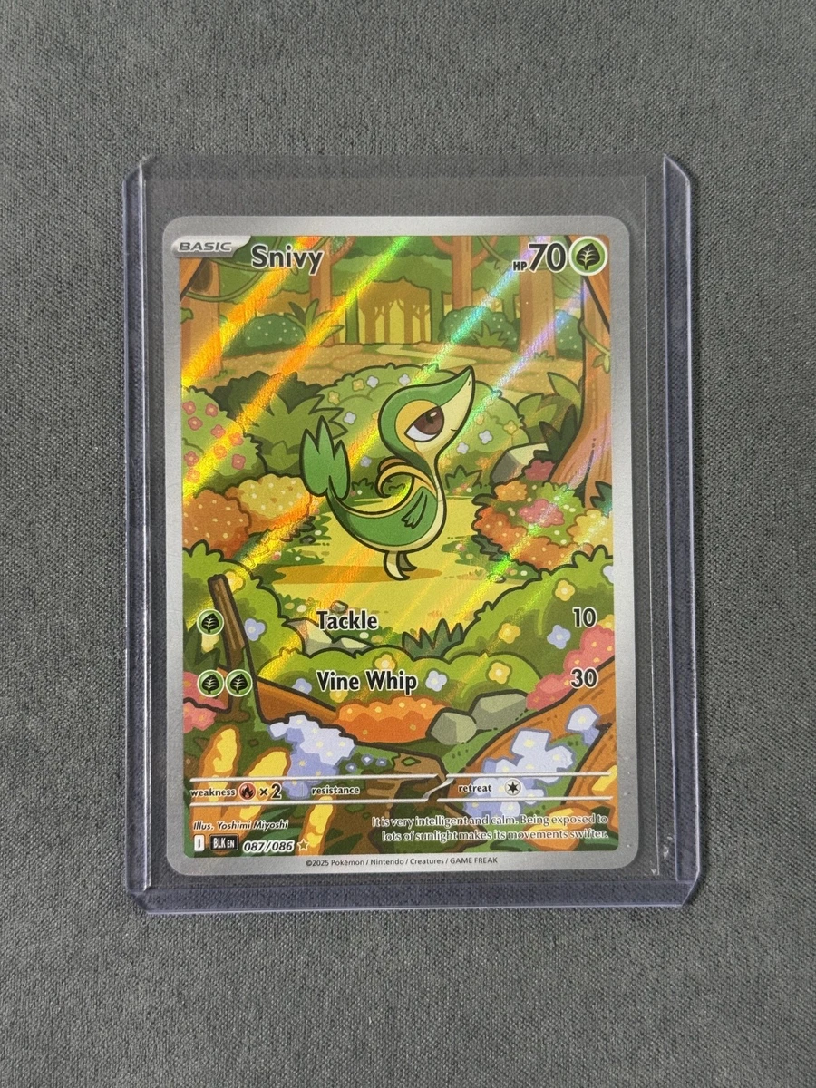 Preços baixos em Cartões TCG de Pokémon Snivy | eBay