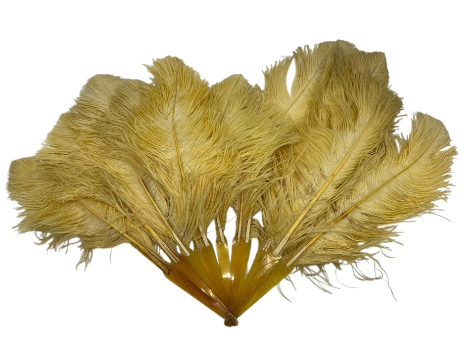 Antiguo ventilador plegable manual PLUMA DE AVESTRUZ NARANJA de 1920 Foto 4 de 4