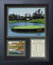11x14 FRAMED TPC AT SAWGRASS HOLE #17 PLAYERS CHAMPIONSHIP 8X10 PHOTO 