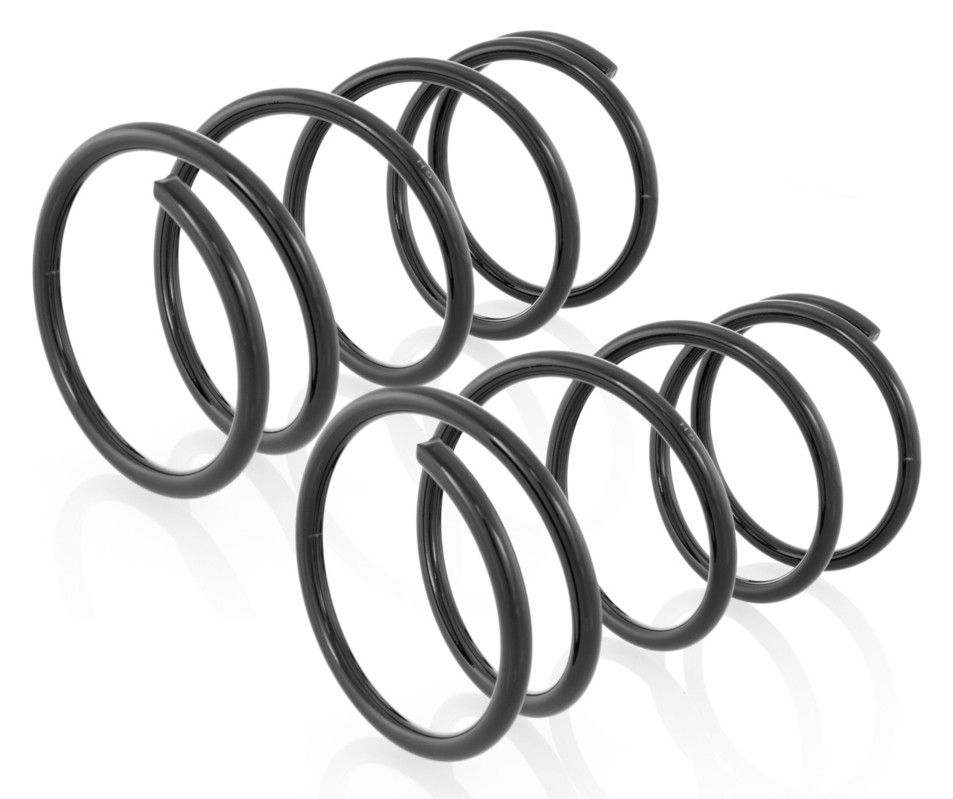 2x Coil Springs Rear Right and Left for Nissan Primera P10 1990-1996