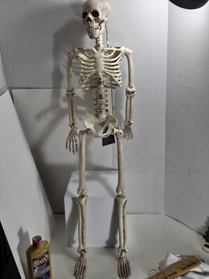 Home Accents Halloween LED Skeleton 3ft New/Open Box Light Up Eyes
