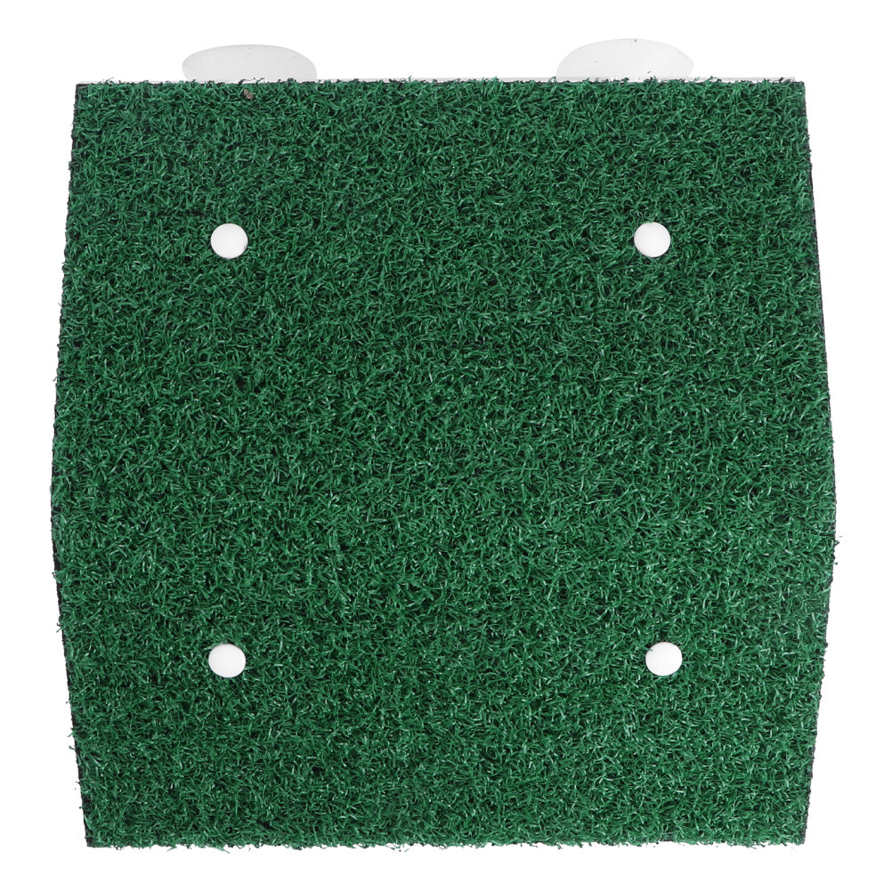 Tortuga Escalada Escalera Tortuga Rampa Tortuga Hábitat Accesorios