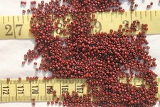 11/0 Toho Seed Beads 212- Pepper Red Picasso Crafts Jewelry/14grams Y304