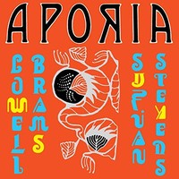 Sufjan Stevens Low - Aporia - Vinyl Record 12 Record - E3447Z