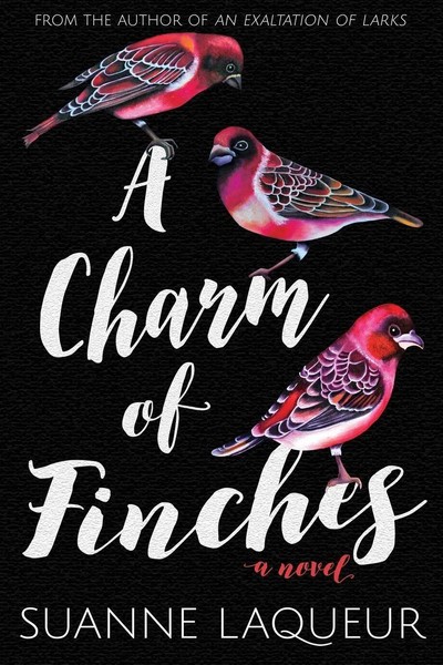 Suanne Laqueur | A Charm Of Finches | Taschenbuch | Englisch (2017)-image