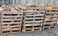Oak & Willow Logs / Firewood ? Large Quantity ? Collection Only