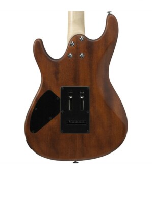 Ibanez GSA60-WNF Walnut Flat Starter Set