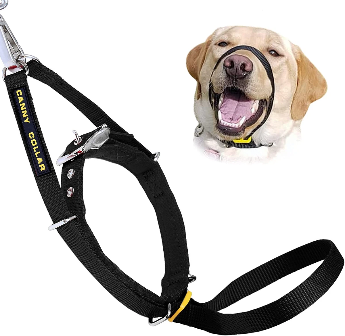 Head 2024 harness dog