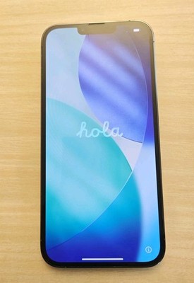 Apple iPhone 13 Pro 256GB Factory Unlocked Sierra Blue 