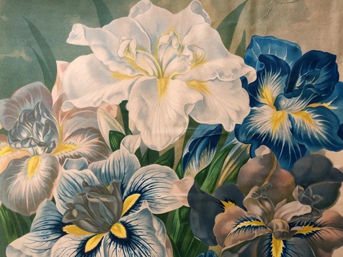 New Double IRIS Kaempferi 33"x16” As Is PRINT John Lewis Child's Floral Park, NY - Picture 6 of 15