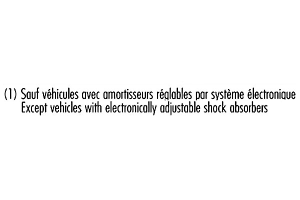 Amortisseur RECORD FRANCE 334367 de suspension arrière pour PEUGEOT 406 Coupé essence