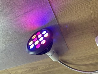 Red/Multi Light Therapy by Hooga. Handheld Skin Beauty Device for Face or Body.