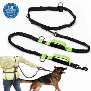 dog belt ebay