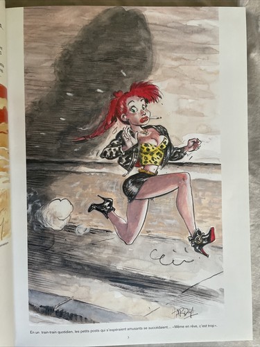 Pierre Tombal, Petites Chroniques illustrées du temps du… - Par Hardy Marc - Foto 2 di 3