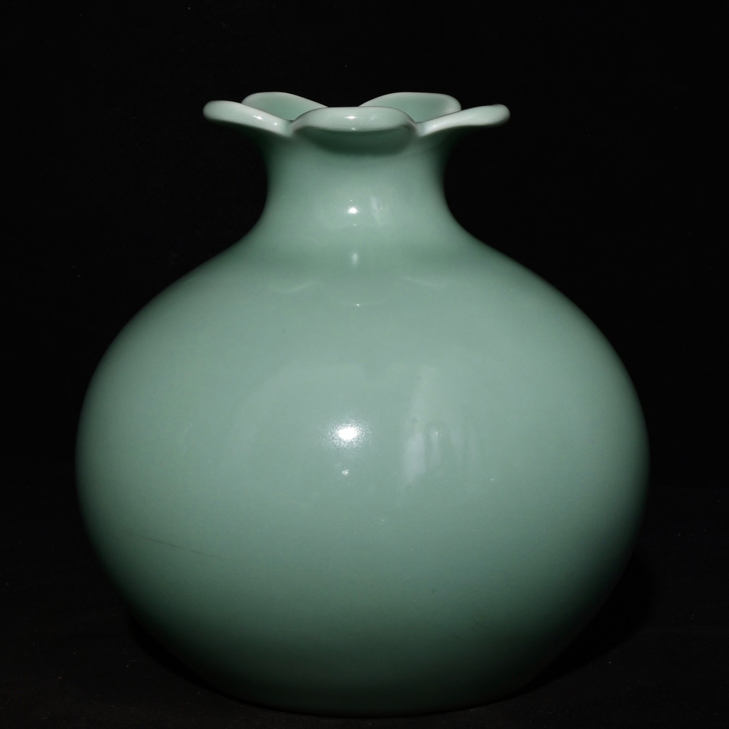 A Pair Nice Chinese Art Handmade Painting Monochrome Glaze Porcelain Vase