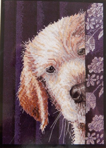 Bucilla Counted Cross Stitch Kit I DIDN'T DO IT Yellow Lab Dog Naughty Puppy - Picture 3 of 6