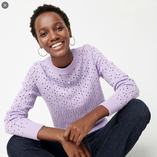 J.Crew Point Sur Allover Pointelle 