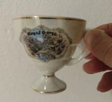 Vintage Royal Gorge Colorado Souvenir Porcelain demitasse Iridescent Teacup