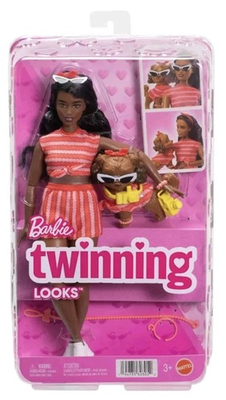 #ad BARBIE TWINNING LOOKS AA Curvy Doll Pet Dog Matching Clothes Accessories. New $21.99
