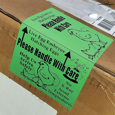 100 X-Large 6'' x 4'' Handle with care Hatching Eggs Shipping Labels Box Edge Seal