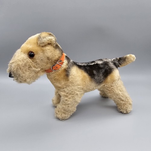 Chien Airedale Terrier Cabot - Photo gratuite sur