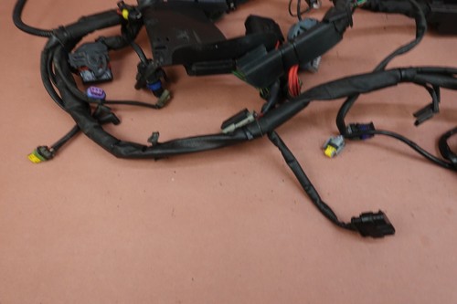 2000-2011 Harley Davidson Heritage Softail FLSTC Main Engine Wiring Harness - Picture 11 of 13