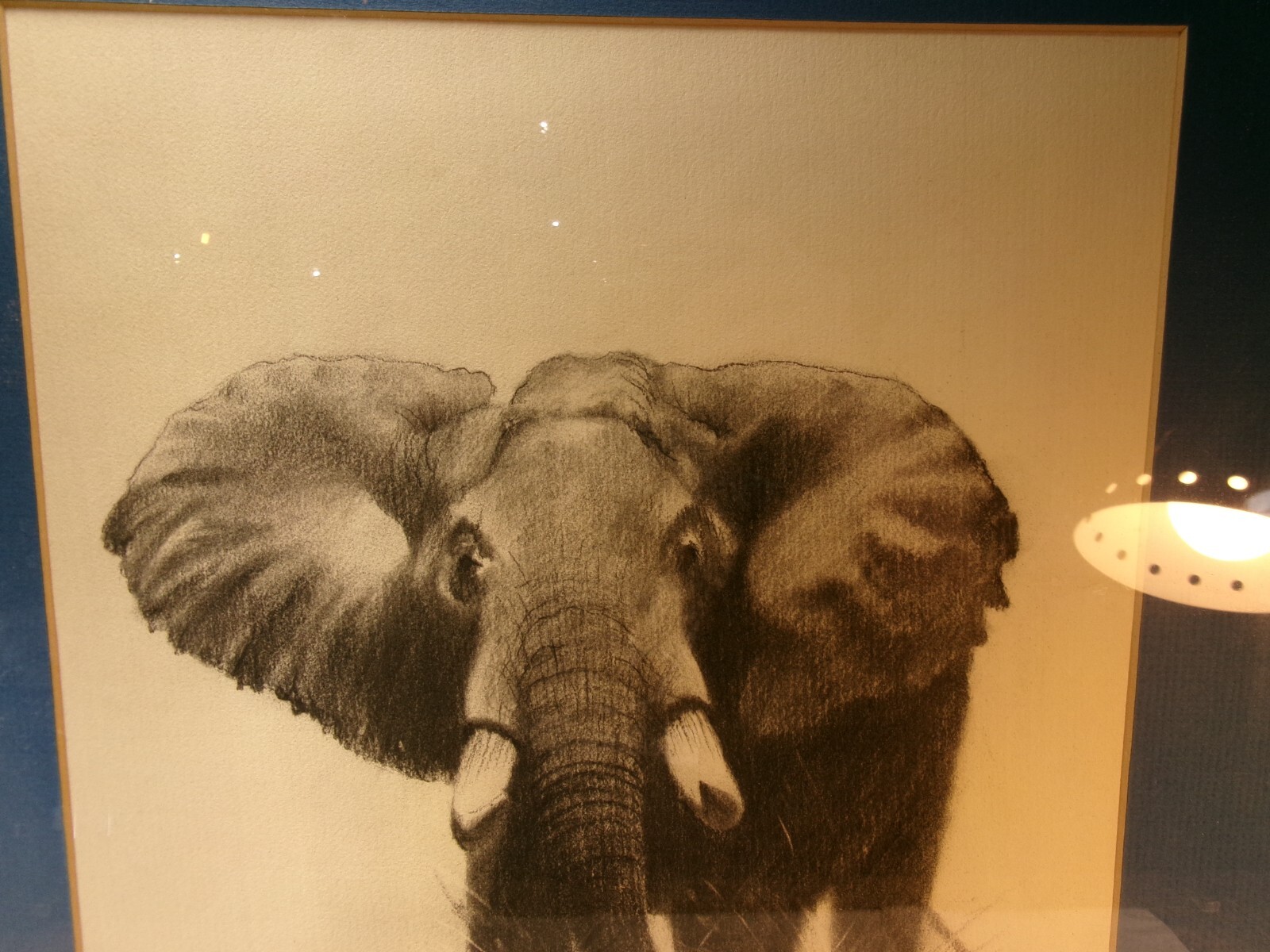 Picture 2 of 5