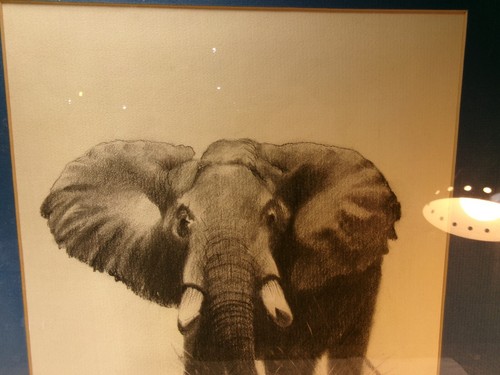 Vintage Peter Darro Signed Elephant Drawing - Picture 2 of 5