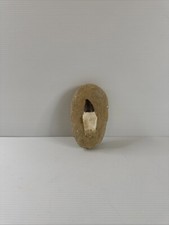 Mosasaur Tooth Fossil in Matrix Authentic Prehistoric Marine Reptile