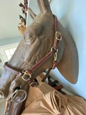 Weaver  leather   horse halter soft english western FREE SHIPPING