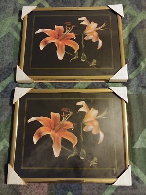 Gerahmtes Blumendruck-Set mit zwei Bildern, Tigerlilie - 25 cm x 20 cm / 8'' x 10'' 