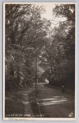 RPPC White Rose Lane Woking Surrey Baum gesäumte Straßenszene Echtfoto